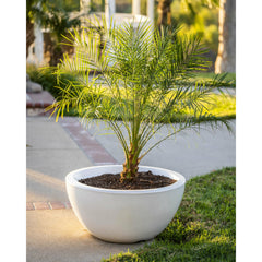 The Outdoor Plus LUNA CONCRETE – PLANTER BOWL - OPT-LUNPO - The Home Selection