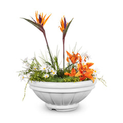 The Outdoor Plus ROMA CONCRETE – PLANTER BOWL - OPT-ROMPO - The Home Selection
