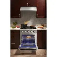 Thor Kitchen 30 in. Professional Propane Gas Range & Range Hood Package - The Home Selection