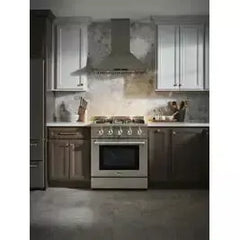 Thor Kitchen 30 in. Professional Propane Gas Range & Range Hood Package - The Home Selection
