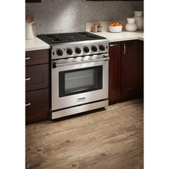 Thor Kitchen 30 Inch Gas Range in Stainless Steel - LRG3001U - The Home Selection