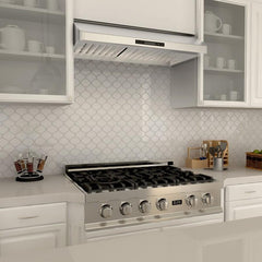 (archived) ZLINE Ducted Under Cabinet Range Hood in Stainless Steel - 619 - The Home Selection