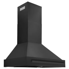 ZLINE Black Stainless Steel Range Hood with Black Stainless Steel Handle (BS655-BS)