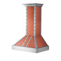 ZLINE Designer Series Wall Mount Range Hood - 655-CSSSS