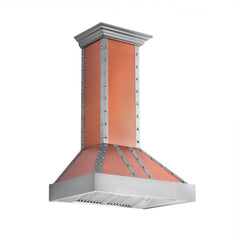 ZLINE Designer Series Wall Mount Range Hood - 655-CSSSS