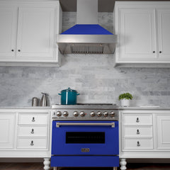 (discontinued) ZLINE Ducted DuraSnow® Stainless Steel Range Hood with Blue Matte Shell - 8654BM - The Home Selection