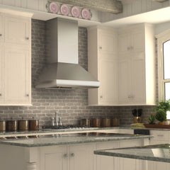 ZLINE 48" Ducted Wall Mount Range Hood with Dual Remote Blower in Stainless Steel (687-RD-48)