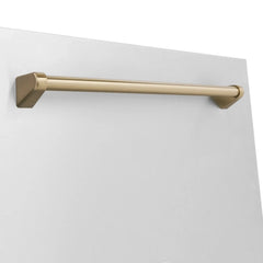 ZLINE 18" Autograph Edition Tallac Dishwasher Panel in Stainless Steel with Accent Handle (DPVZ-304-18) - The Home Selection