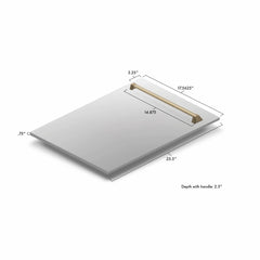 ZLINE 18" Autograph Edition Tallac Dishwasher Panel in Stainless Steel with Accent Handle (DPVZ-304-18) - The Home Selection