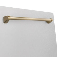 ZLINE 24" Autograph Edition Tallac Dishwasher Panel in DuraSnow® Stainless Steel with Accent handle (DPVZ-SN-24) - The Home Selection