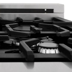 ZLINE 24” Professional DuraSnow® Dual Fuel Range RAS-SN-24 - The Home Selection