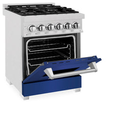 ZLINE 24” Professional DuraSnow® Dual Fuel Range RAS-SN-24 - The Home Selection