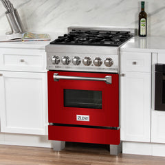 ZLINE 24” Professional DuraSnow® Dual Fuel Range RAS-SN-24 - The Home Selection