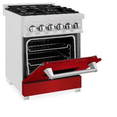 ZLINE 24” Professional DuraSnow® Dual Fuel Range RAS-SN-24 - The Home Selection