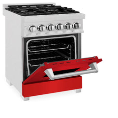 ZLINE 24” Professional DuraSnow® Dual Fuel Range RAS-SN-24 - The Home Selection