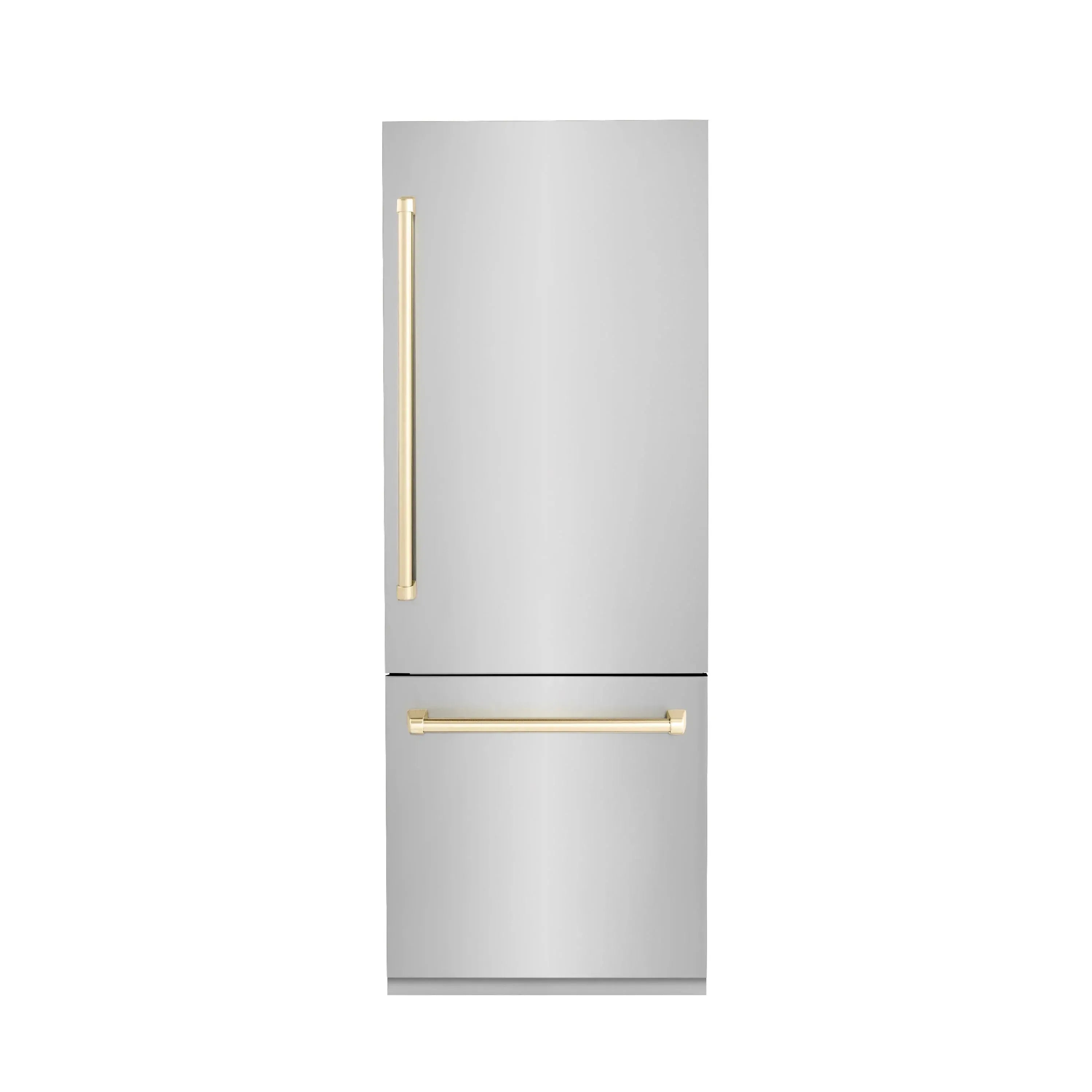ZLINE 30" Autograph Edition 16.1 cu. ft. Built-in 2-Door Bottom Freezer Refrigerator with Internal Water and Ice Dispenser in Stainless Steel (RBIVZ-304-30) - The Home Selection