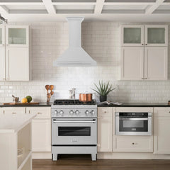 ZLINE 30" DuraSnow® Stainless Steel Range Hood with Stainless Steel Handle (KB4SNX-30) - The Home Selection
