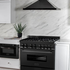 ZLINE 36" 4.6 cu. ft. Dual Fuel Range with Gas Stove and Electric Oven in Black Stainless Steel with Brass Burners (RAB-BR-36) - The Home Selection