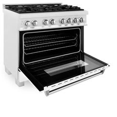 ZLINE 36" Professional Dual Fuel Range in DuraSnow - RAS-36 - The Home Selection