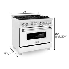 ZLINE 36" Professional Dual Fuel Range in DuraSnow - RAS-36 - The Home Selection