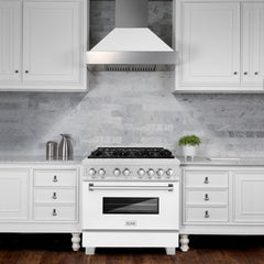 ZLINE 36" Professional Dual Fuel Range in DuraSnow - RAS-36 - The Home Selection