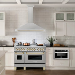 ZLINE 48" Autograph Edition DuraSnow® Stainless Steel Range Hood with DuraSnow® Stainless Steel Shell (KB4SNZ-48) - The Home Selection