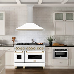 ZLINE 48" Autograph Edition DuraSnow® Stainless Steel Range Hood with White Matte Shell (KB4SNZ-WM48) - The Home Selection