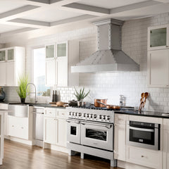 ZLINE 48" Professional Dual Fuel Range in DuraSnow® RAS-SN-48 - The Home Selection
