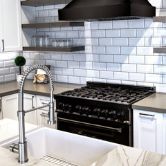 ZLINE Apollo Kitchen Faucet, APL-KF-BN - The Home Selection