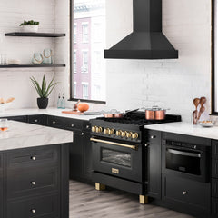 ZLINE Black Stainless Steel Wall Mount Range Hood - BS655N - The Home Selection