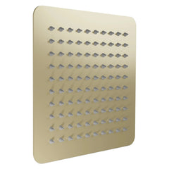 ZLINE Bliss 8 In. Shower Head in Champagne Bronze - BLS-H8-CB - The Home Selection