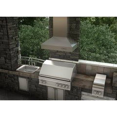 ZLINE Convertible Outdoor Wall Mount Range Hood in Outdoor Approved Stainless Steel - 667-304 - The Home Selection