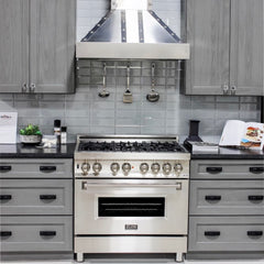 ZLINE Convertible Vent Designer Series Wall Mount Range Hood in DuraSnow™ Stainless Steel - 655-4SSSS - The Home Selection