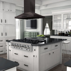 ZLINE Convertible Vent Island Mount Range Hood in Black Stainless Steel - BSGL2iN - The Home Selection