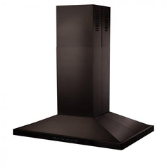 ZLINE Convertible Vent Island Mount Range Hood in Black Stainless Steel - BSGL2iN - The Home Selection