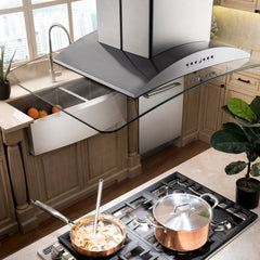ZLINE Convertible Vent Island Mount Range Hood in Stainless Steel & Glass - GL9i - The Home Selection