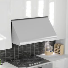 ZLINE Convertible Vent Under Cabinet Range Hood in Stainless Steel - 527 - The Home Selection