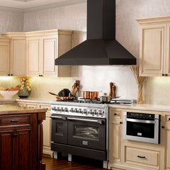 ZLINE Designer Series Wall Mount Range Hood - 8667B - The Home Selection