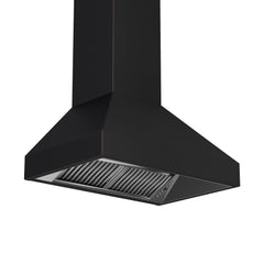 ZLINE Designer Series Wall Mount Range Hood - 8667B - The Home Selection