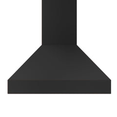 ZLINE Designer Series Wall Mount Range Hood - 8667B - The Home Selection