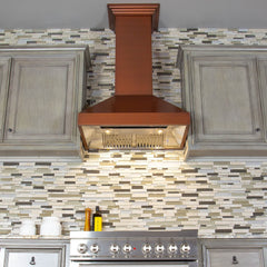 ZLINE Designer Series Wall Mount Range Hood - 8667C - The Home Selection