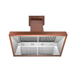 ZLINE Designer Series Wall Mount Range Hood - 8667C - The Home Selection