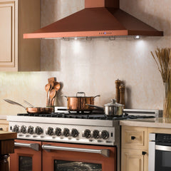 ZLINE Designer Series Wall Mount Range Hood - 8KBC - The Home Selection