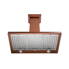 ZLINE Designer Series Wall Mount Range Hood - 8KBC - The Home Selection