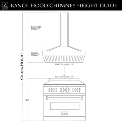 ZLINE Designer Series Wall Mount Range Hood in DuraSnow® Stainless Steel with Mirror Accents (655MR) - The Home Selection