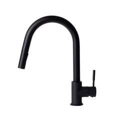 ZLINE Gemini Kitchen Faucet, GEM-KF-BN - The Home Selection