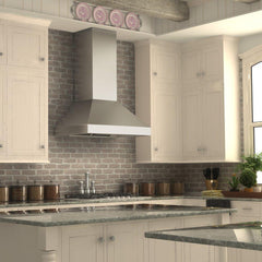 ZLINE Professional Convertible Vent Wall Mount Range Hood in Stainless Steel - 597 - The Home Selection