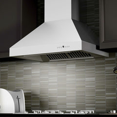 ZLINE Professional Ducted Wall Mount Range Hood in Stainless Steel - 667 - The Home Selection